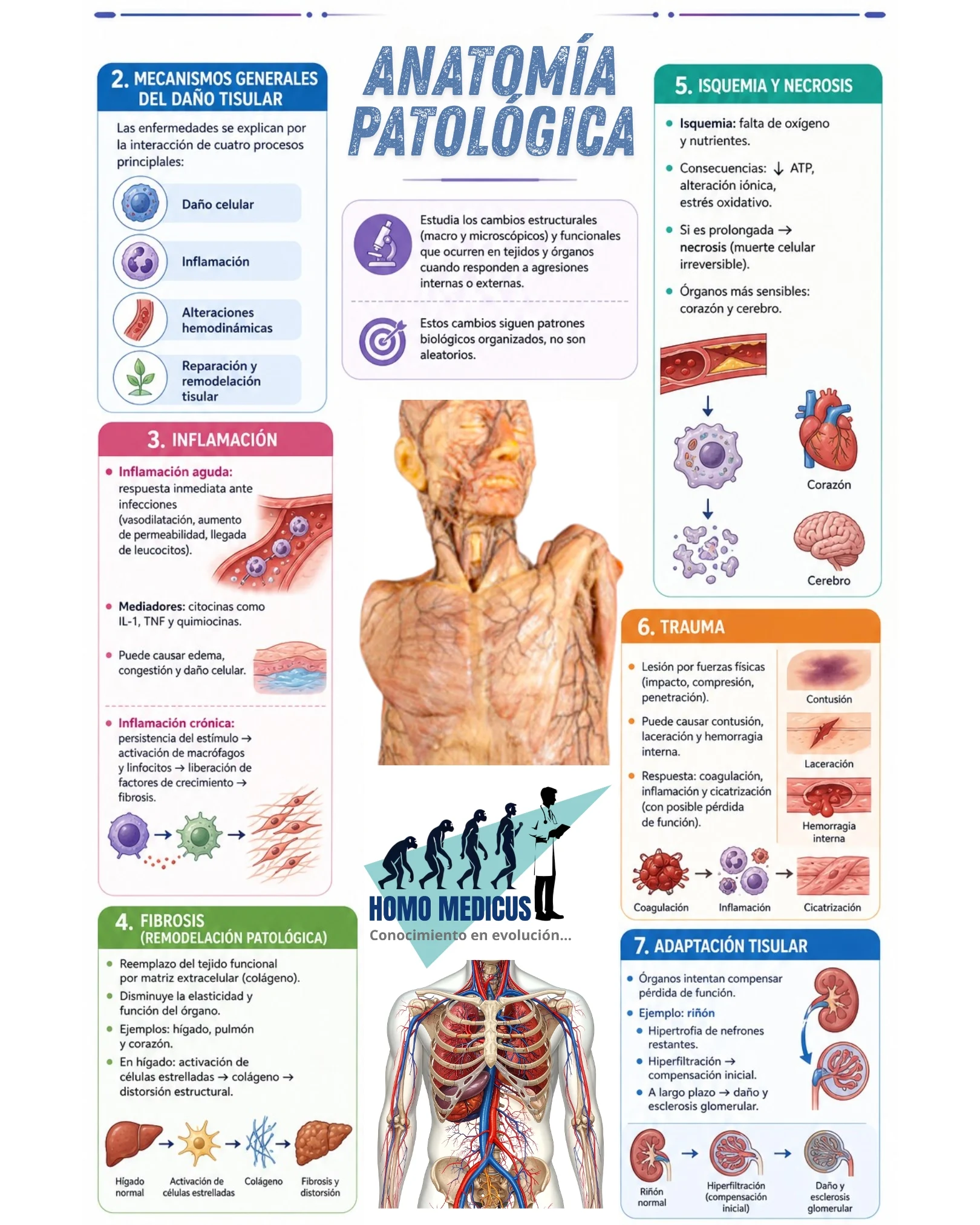 ANATOMÍA PATOLÓGICA
