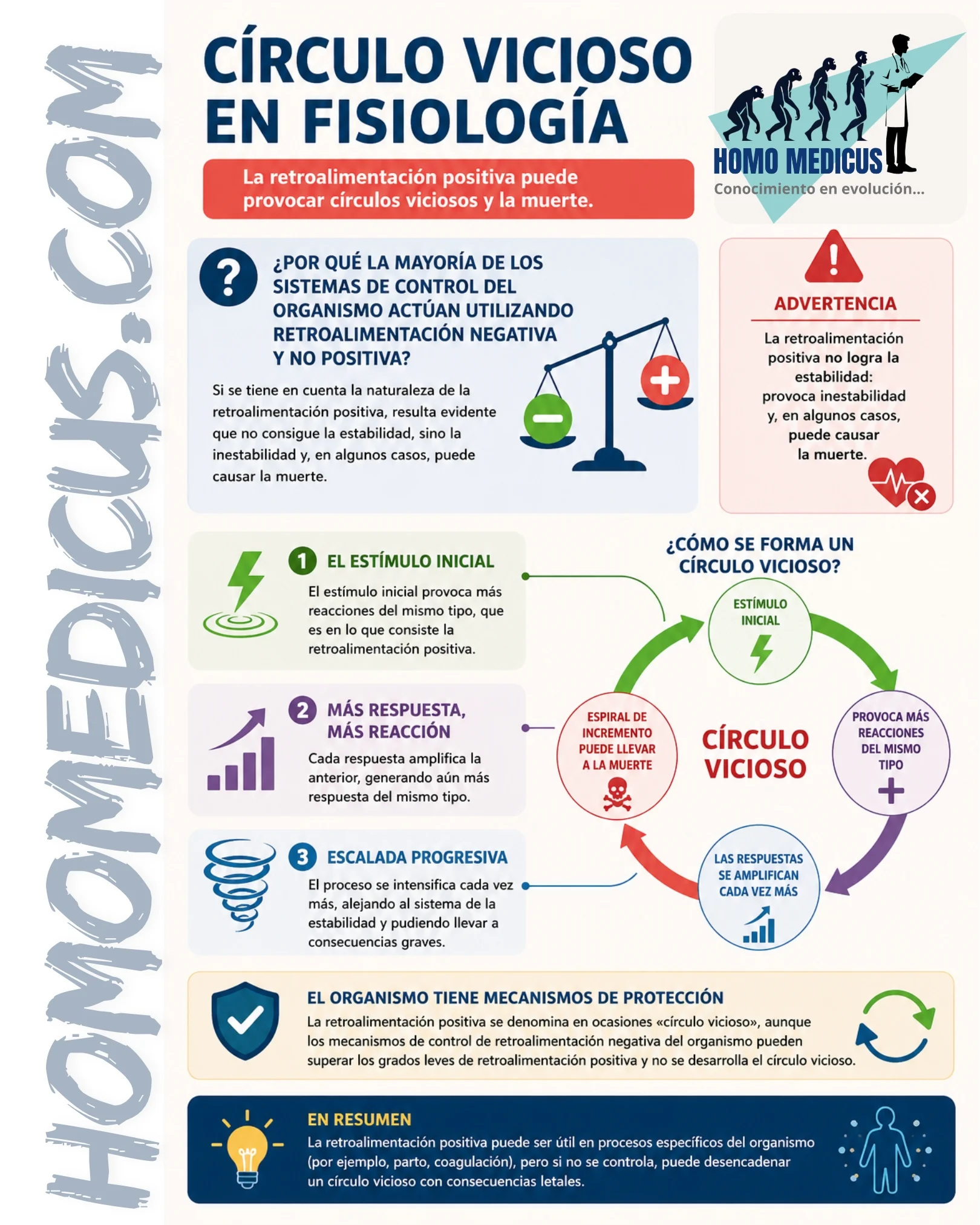 CÍRCULO VICIOSO EN FISIOLOGA