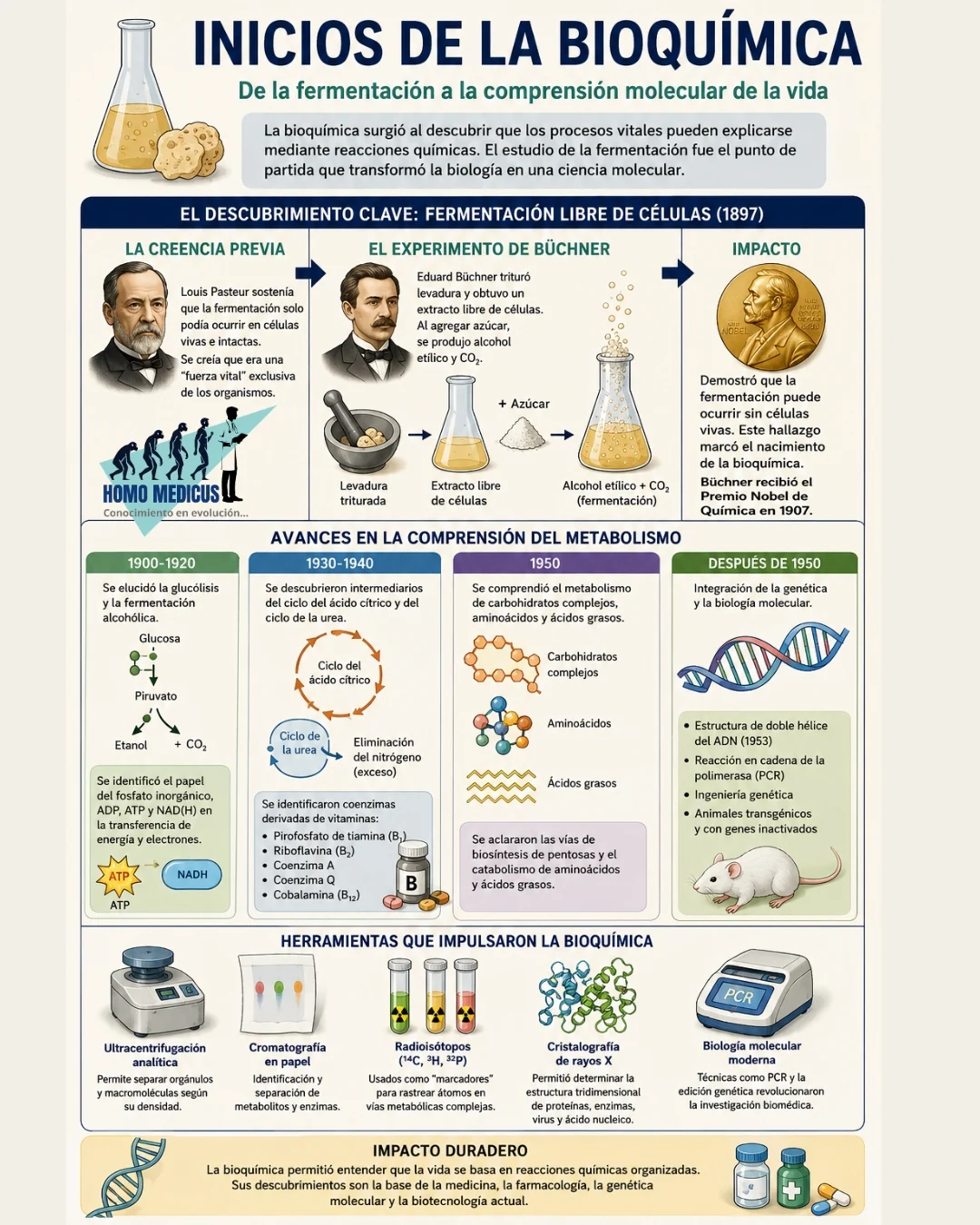 INICIOS DE LA BIOQUÍMICA