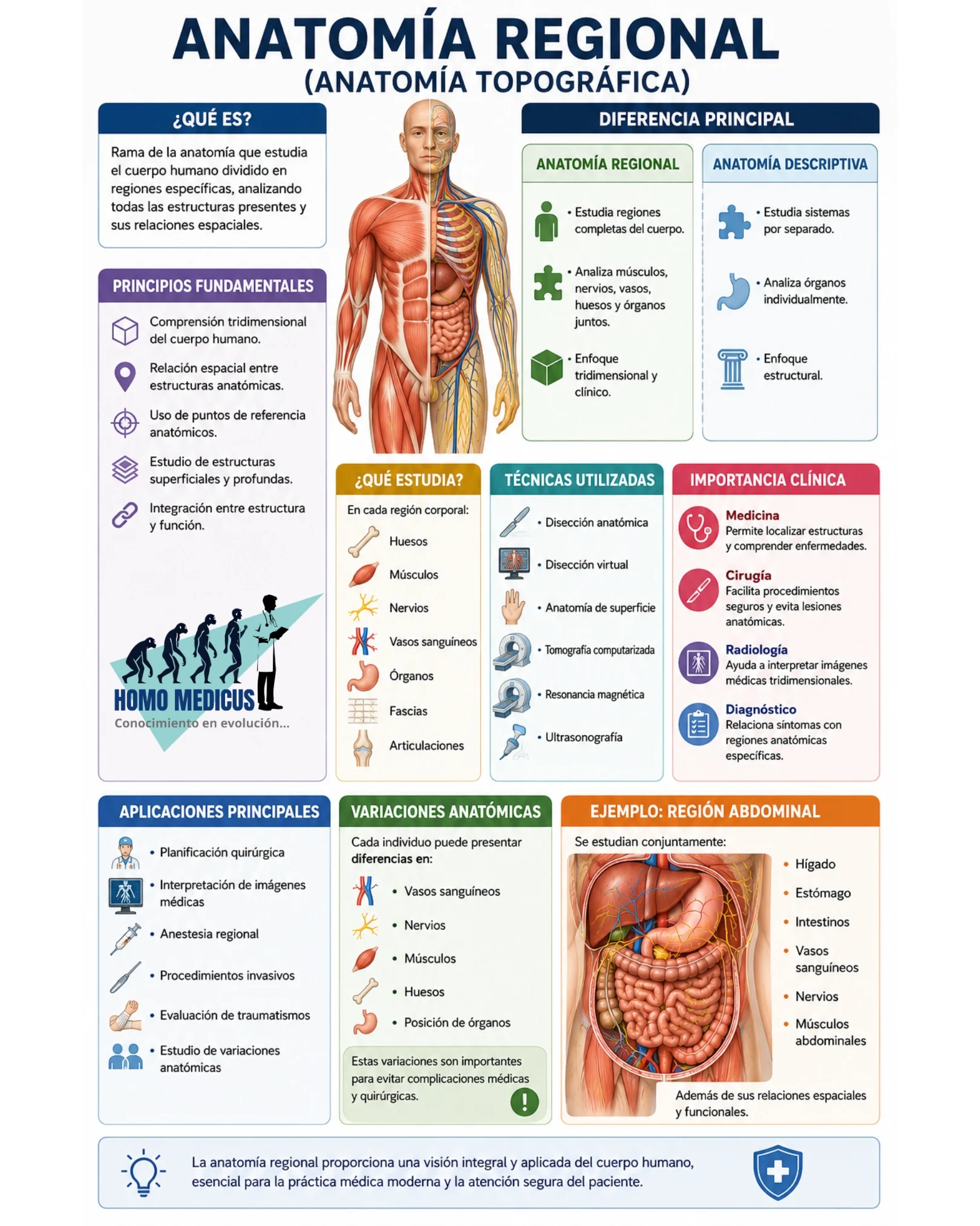 ANATOMÍA REGIONAL