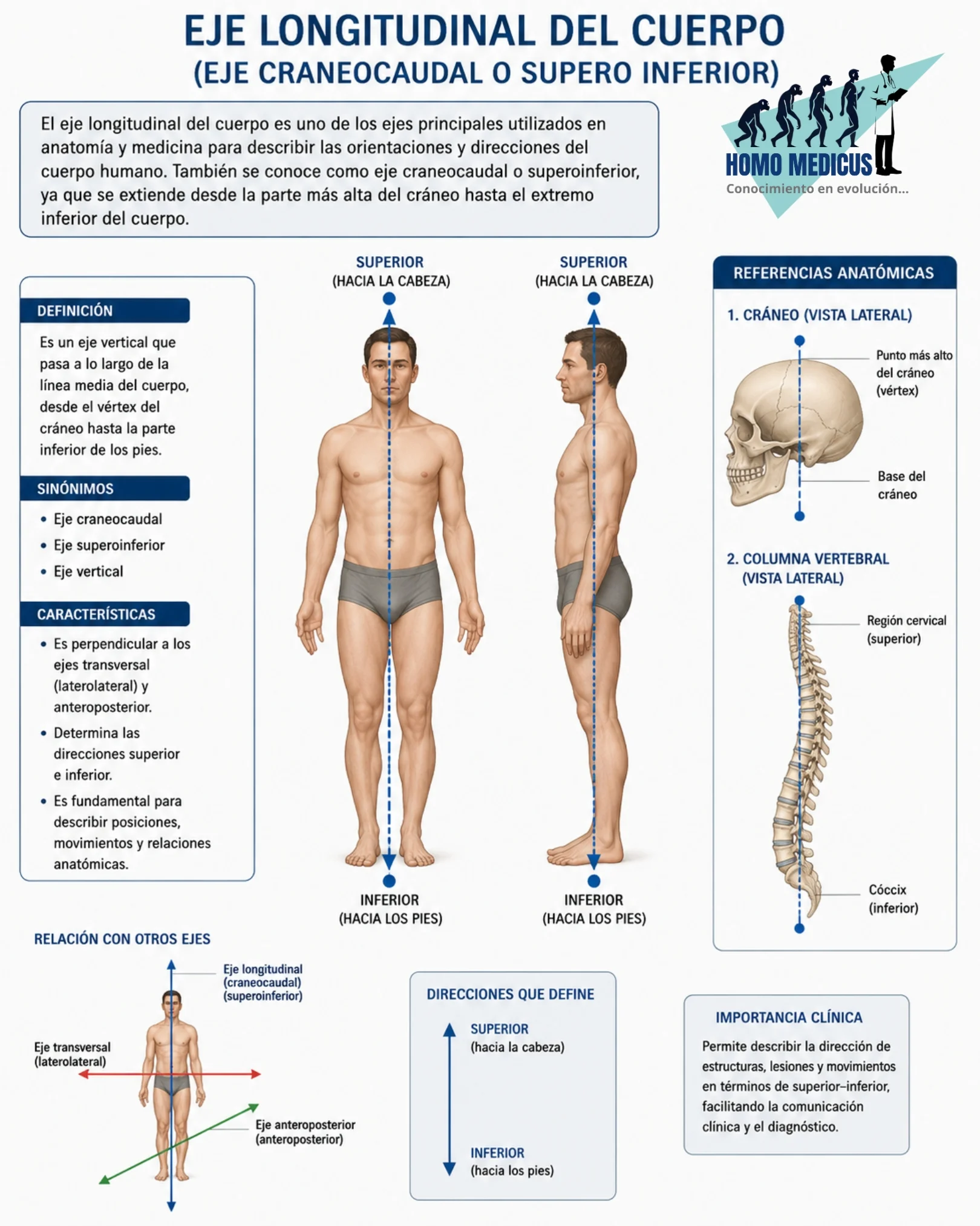 EJE LONGITUDINAL DEL CUERPO