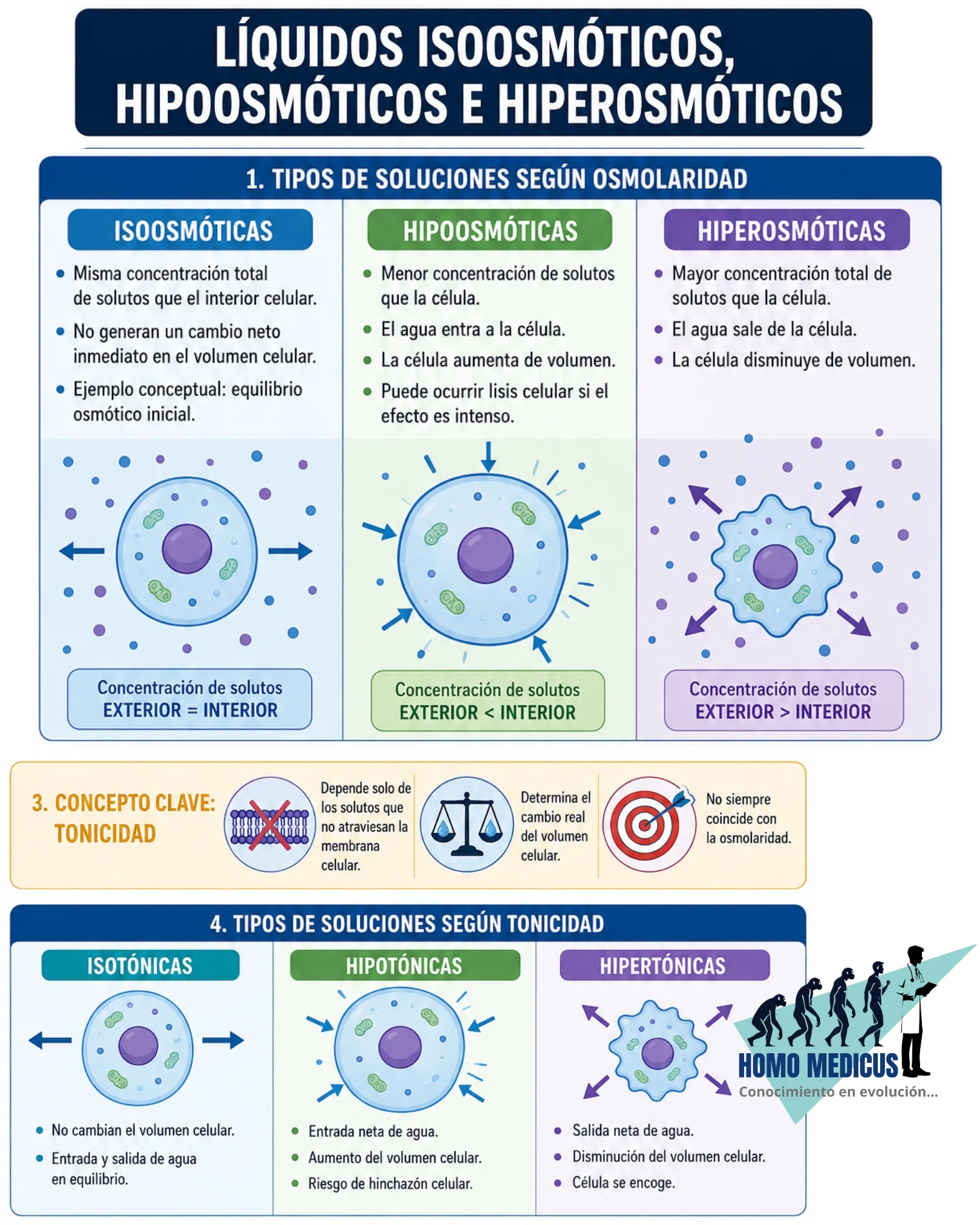 LÍQUIDOS ISOOSMÓTICOS, HIPOOSMÓTICOS E HIPEROSMÓTICOS