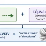 Significado de la palabra anatomía