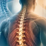 Anatomía de superficie de la columna vertebral