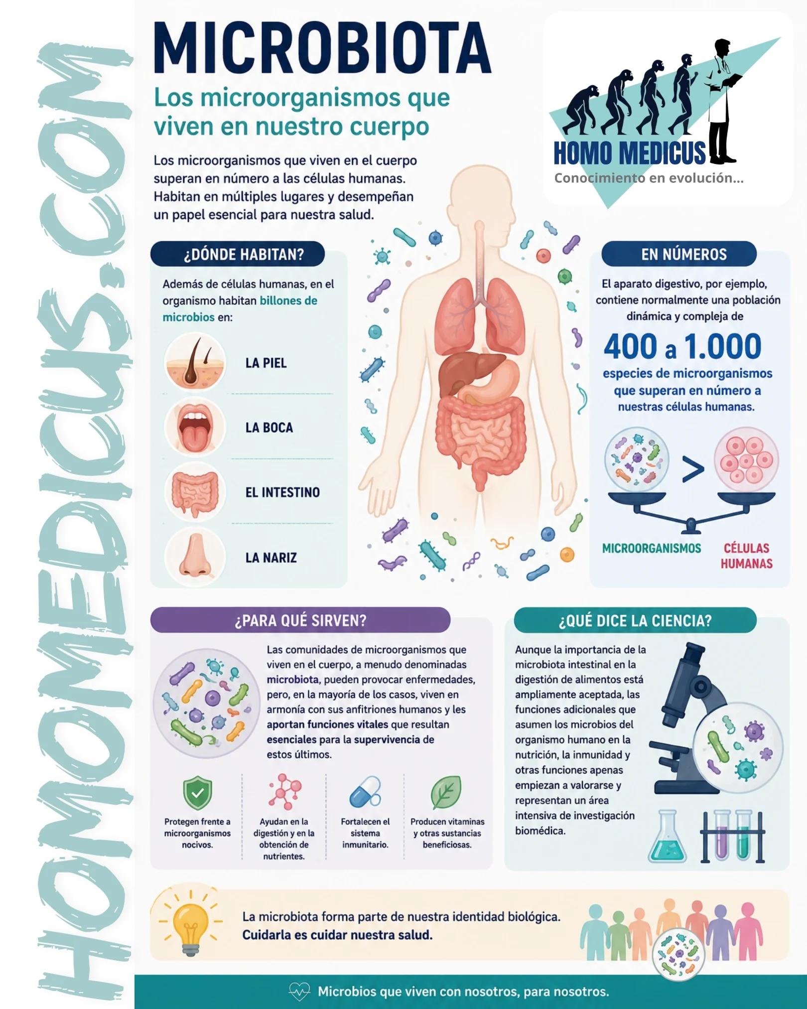 MICROBIOTA MICROBIOTA