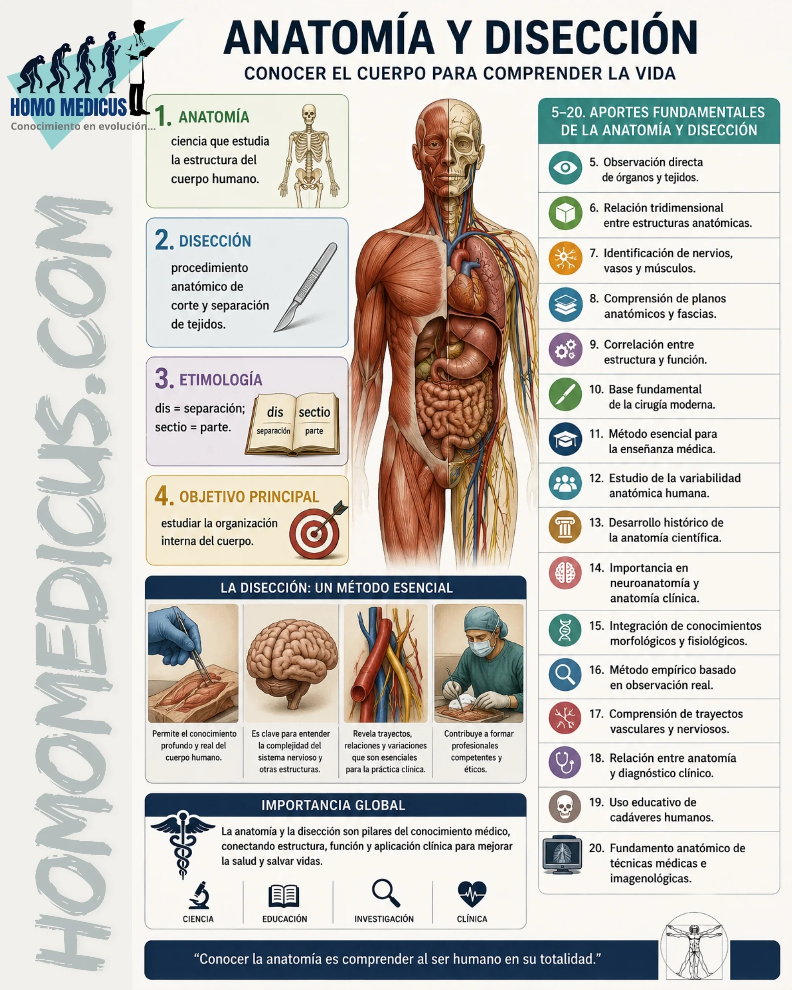 ANATOMÍA Y DISECCIÓN