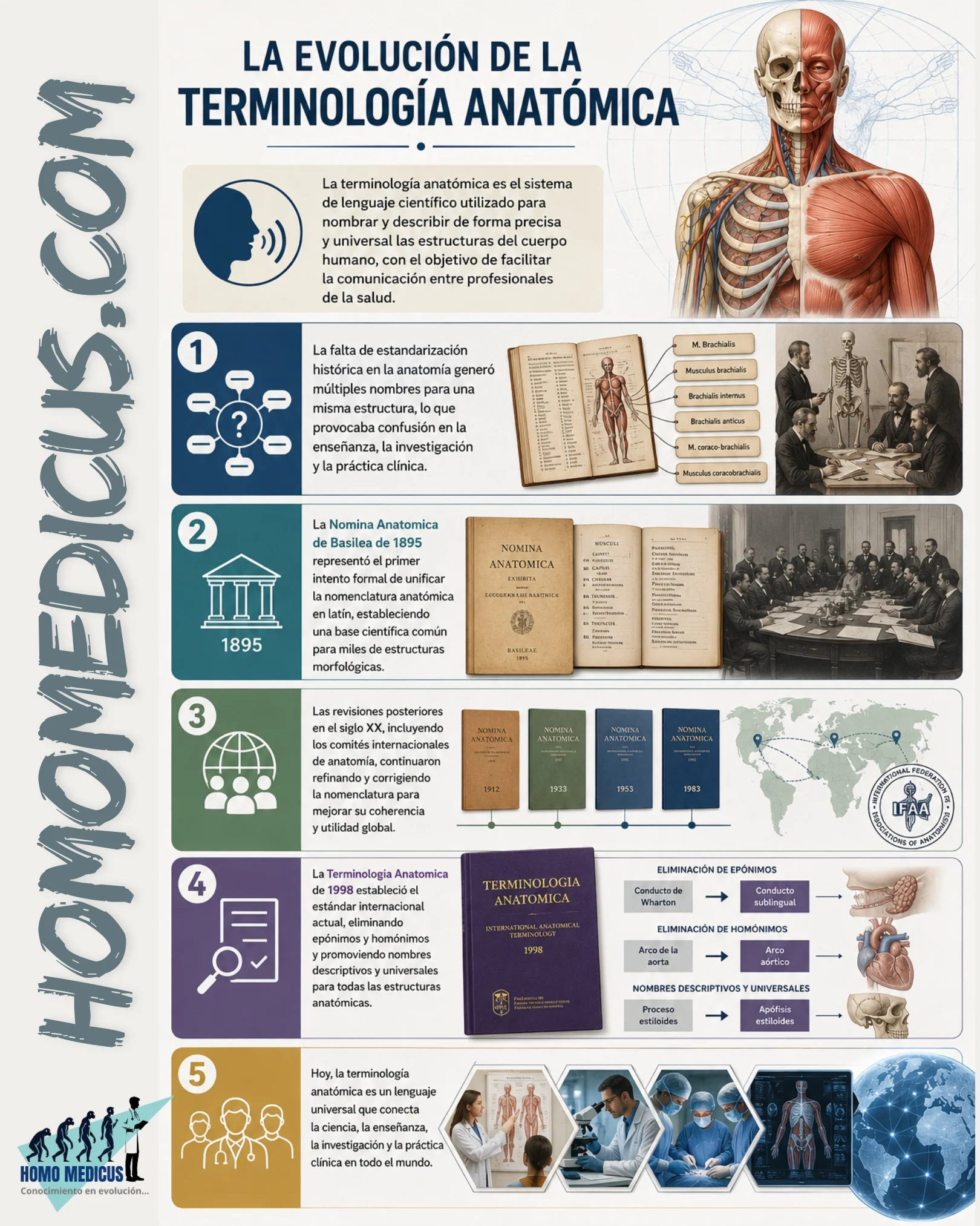 TERMINOLOGÍA ANATÓMICA TERMINOLOGÍA ANATÓMICA