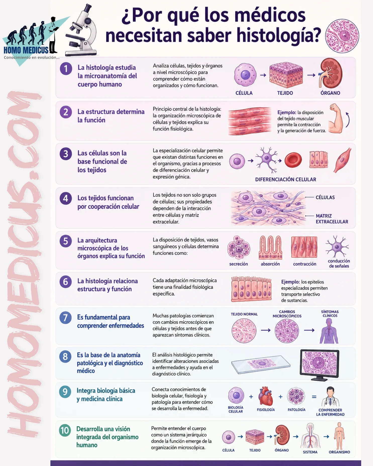 ¿Por que los médicos necesitan saber histología?