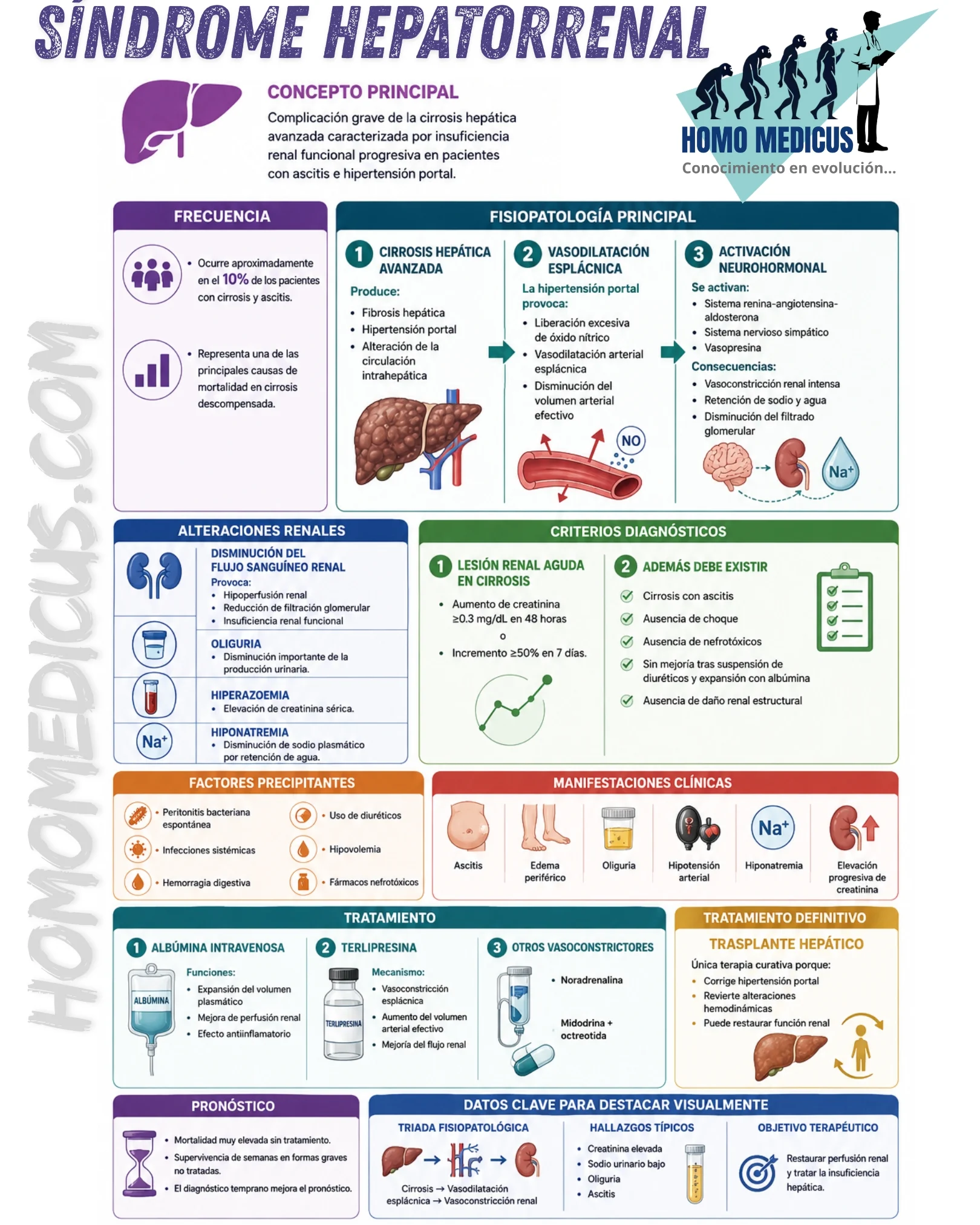 SÍNDROME HEPATORRENAL 