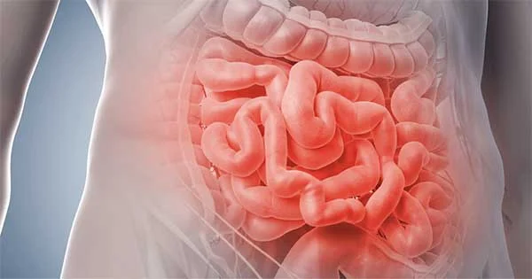 Fisiopatología de la obstrucción del intestino delgado