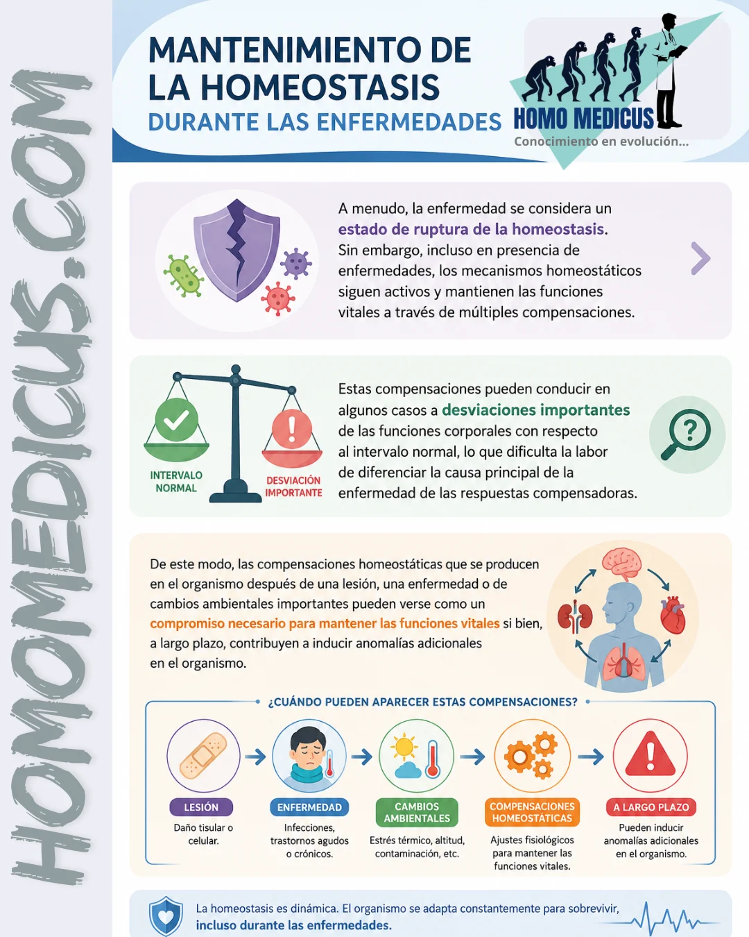 Mantenimiento de la homeostasis durante la enfermedad Mantenimiento de la homeostasis durante la enfermedad