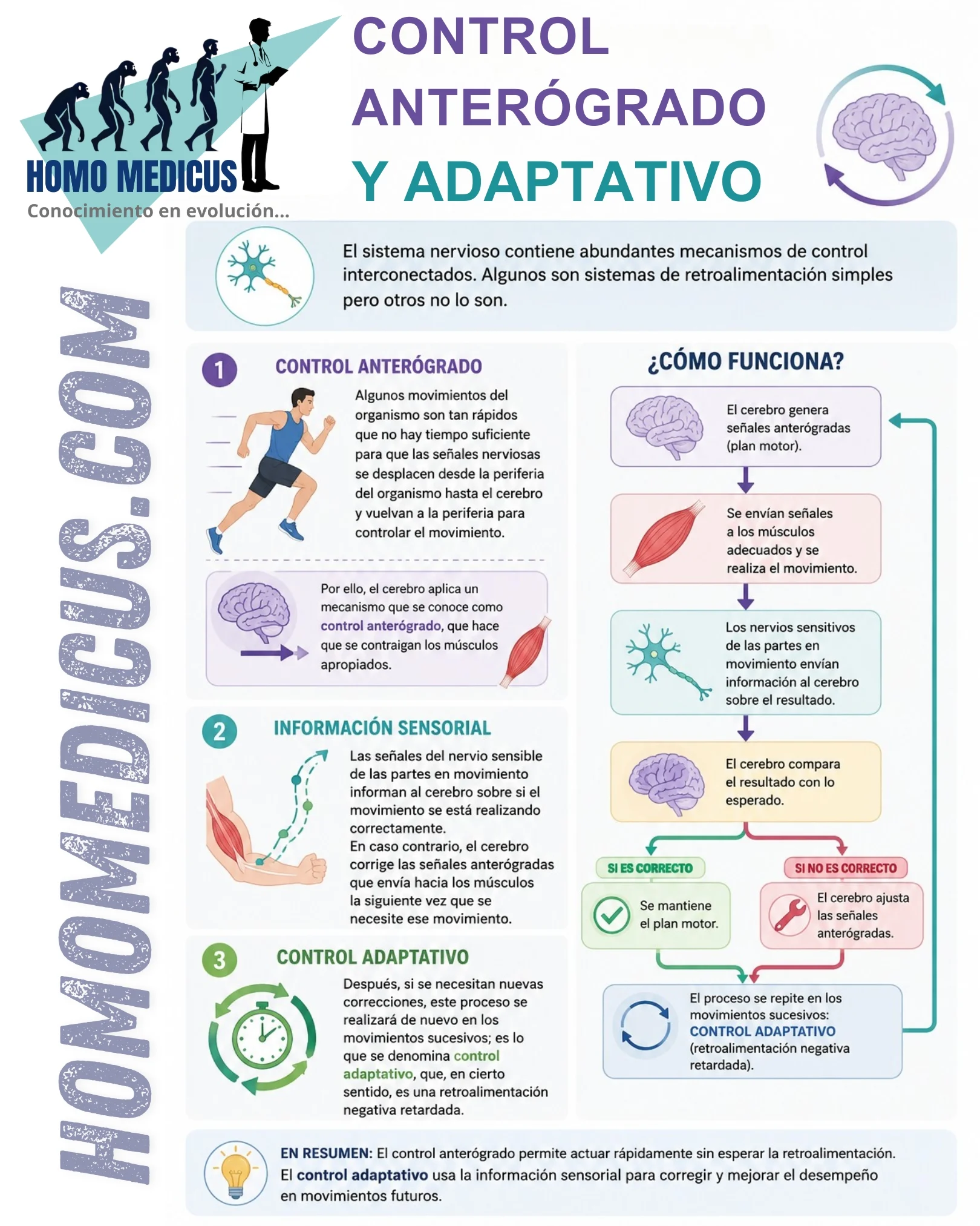 SISTEMAS COMPLEJOS DE CONTROL