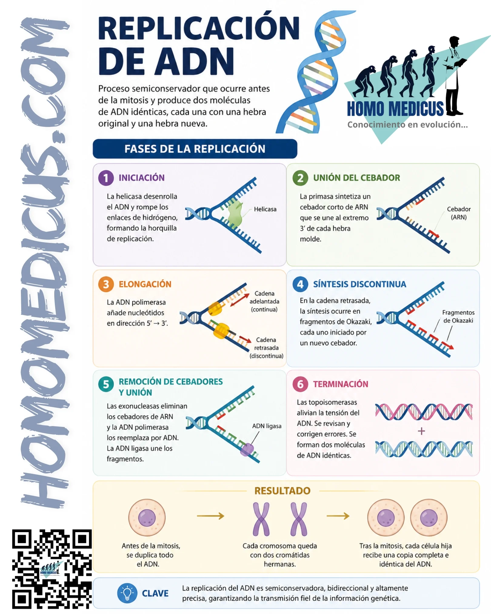 REPLICACIÓN DE ADN REPLICACIÓN DE ADN