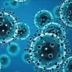 Gripe e influenza A(H3N2)