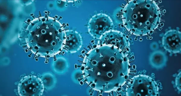Gripe e influenza A(H3N2)